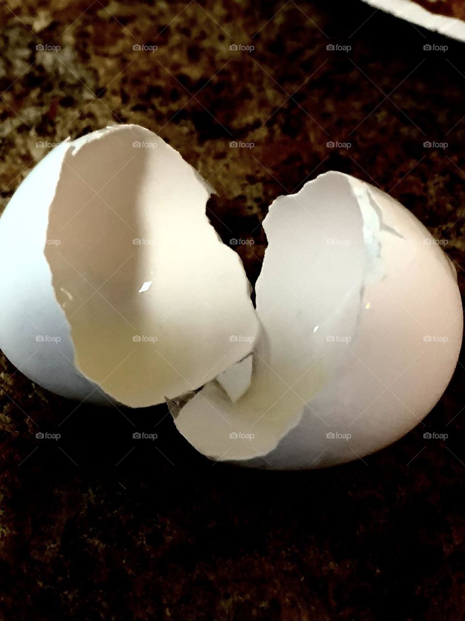 Eggshells 