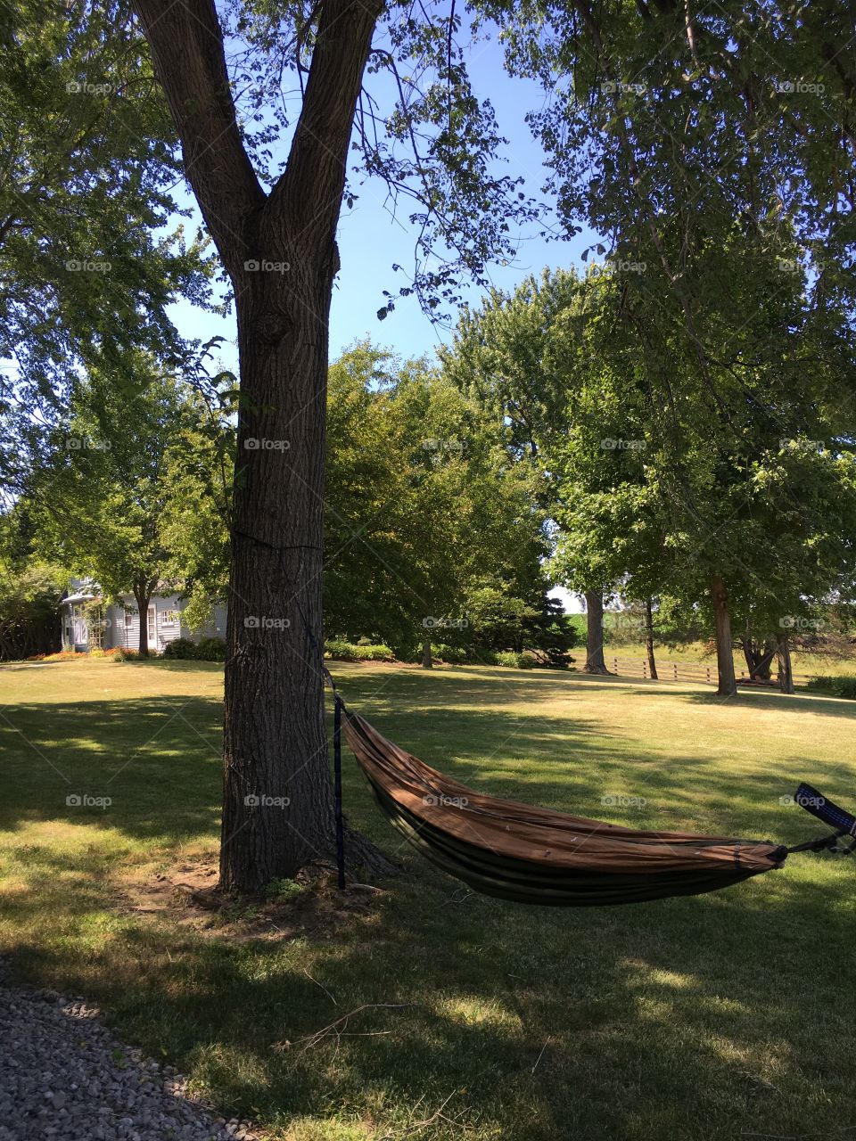 Hammock on the farm