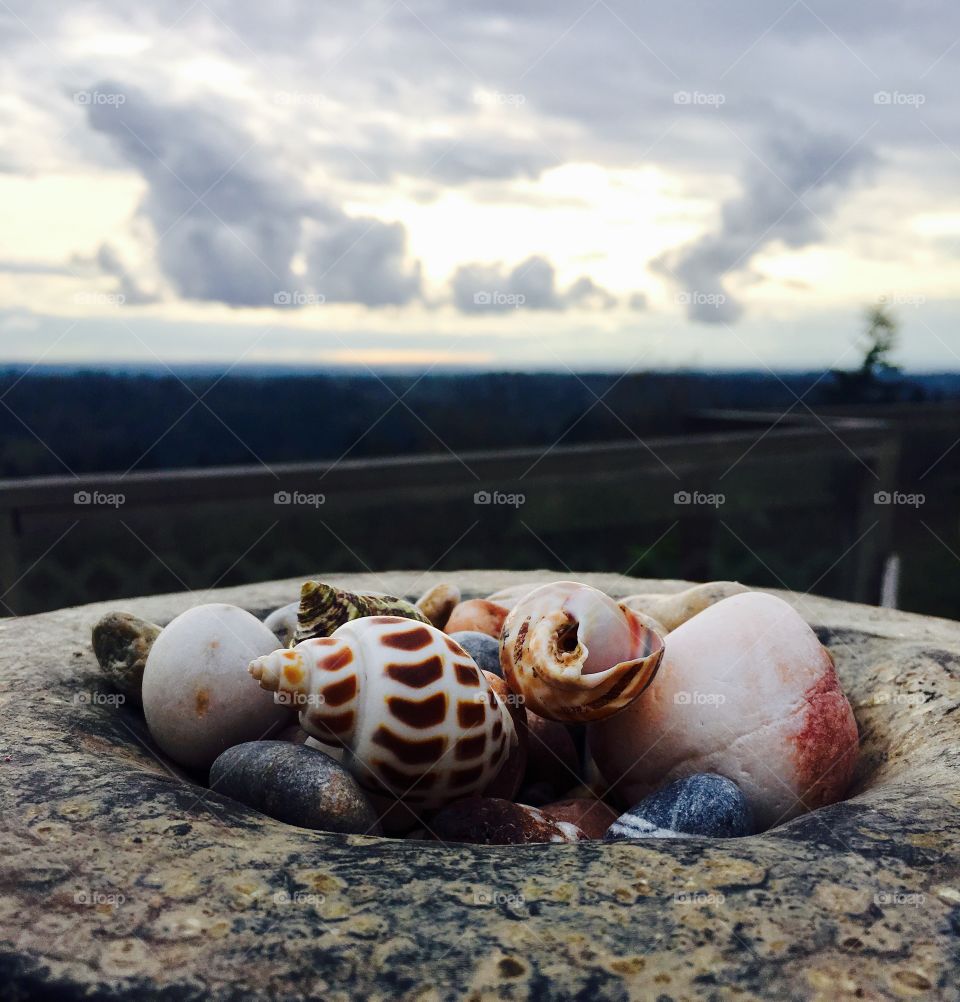Seashells in Greek handmade clay bowl . 