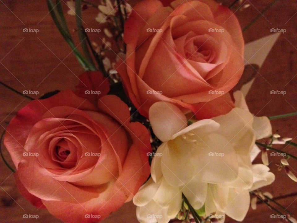 roses bouquet by liselott