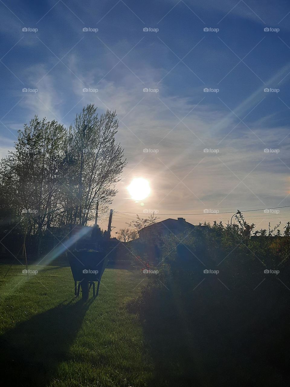 wheelbarrow at sunset