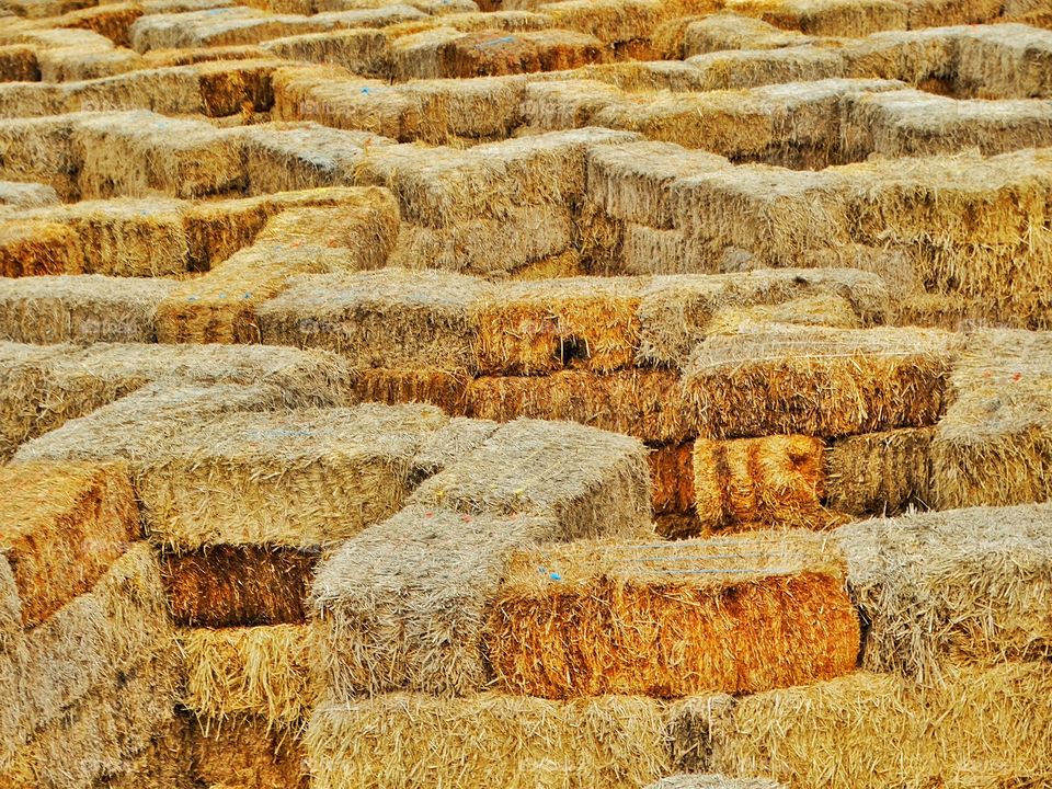 Hay Bale Maze