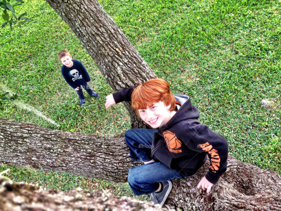 play tree fun kids by bcpix