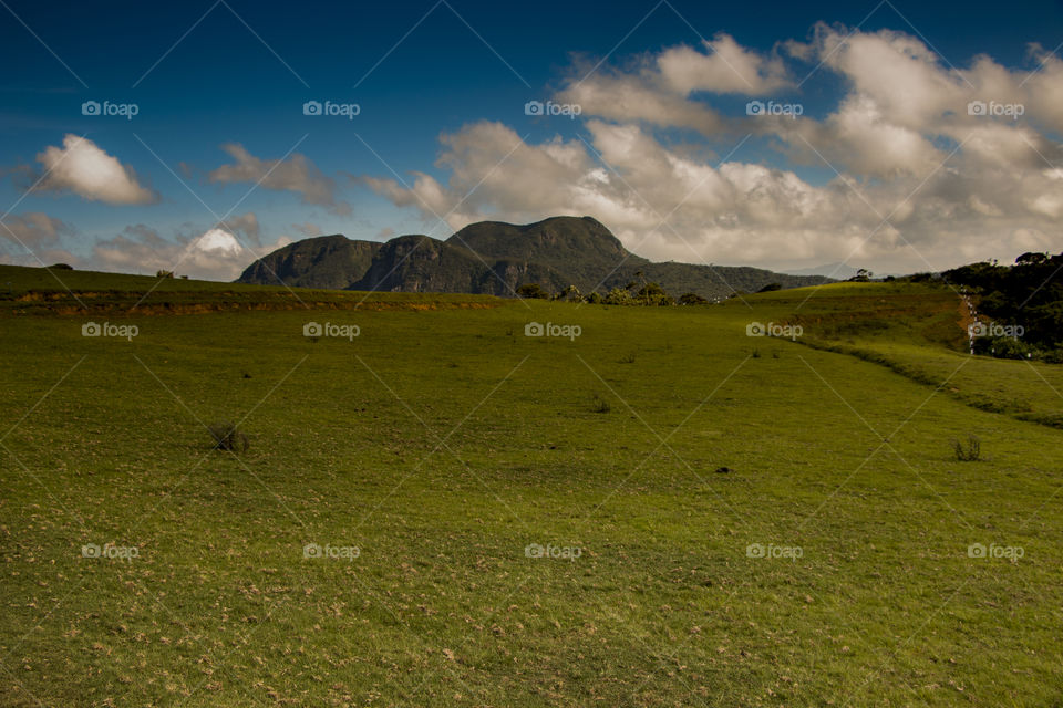 let the vacation begin