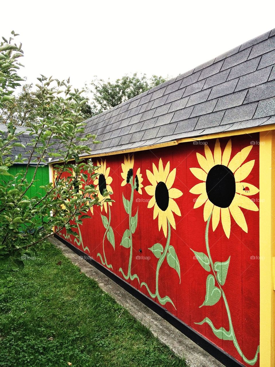 Sunflower barn