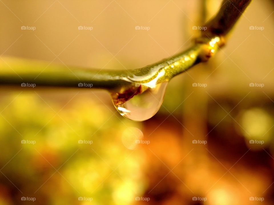 WATER DROP