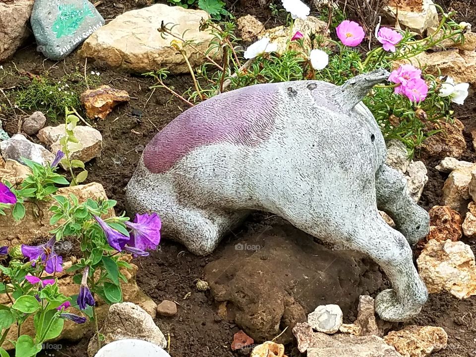 My rock garden. This dog yard ointment was in my dad's yard for many years. After a battle with cancer he is now in a better place. i now have have many memories of him.
