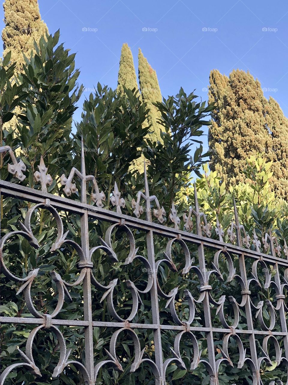 Florence Nature By Design