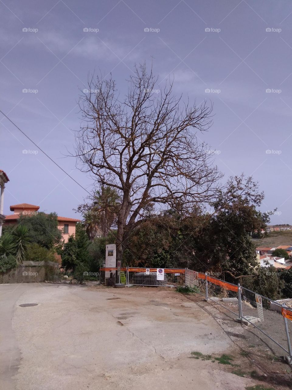 Best of 2021: Nature