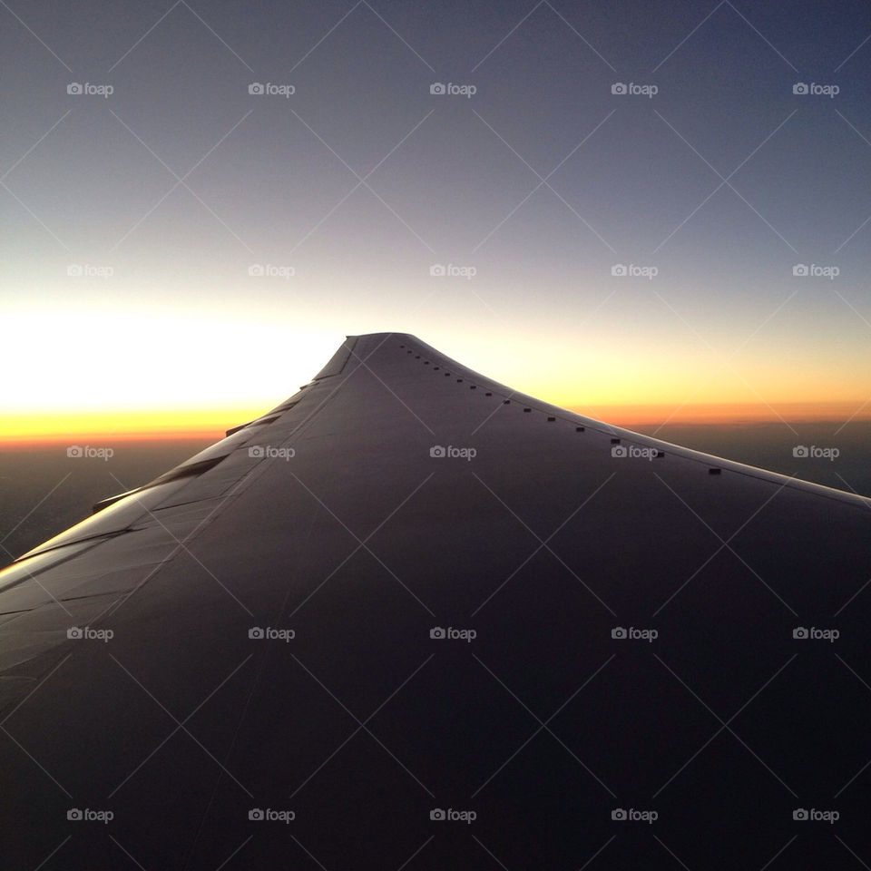 wing plane horizon flight by breenster