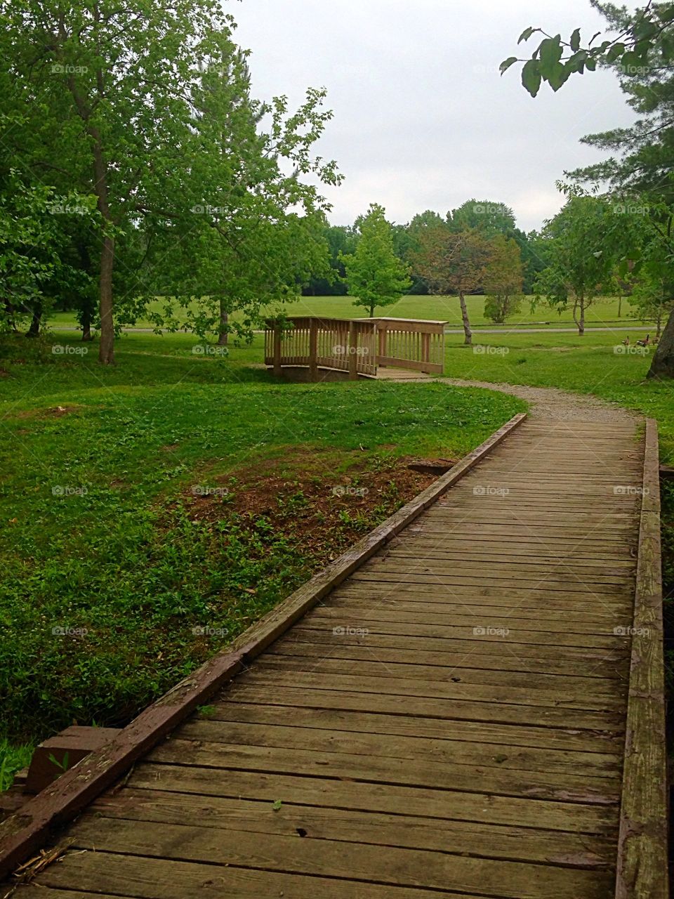 Walking path. The old and new bridges along our park walking path