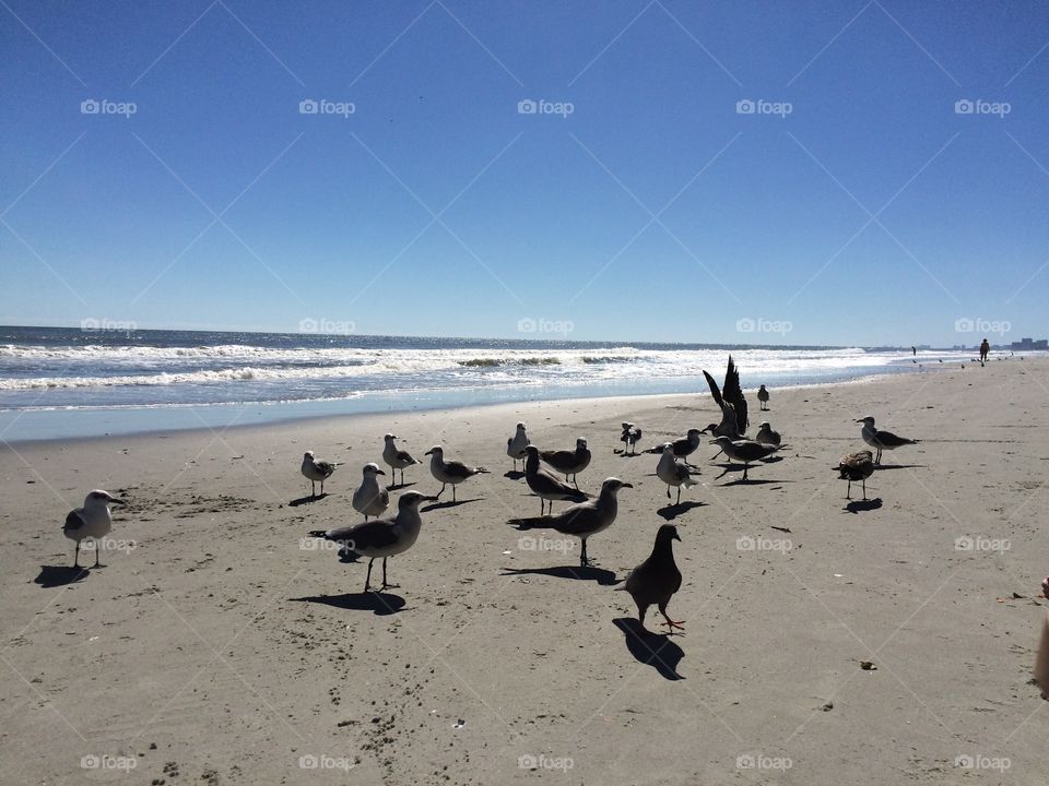 Beautiful beach