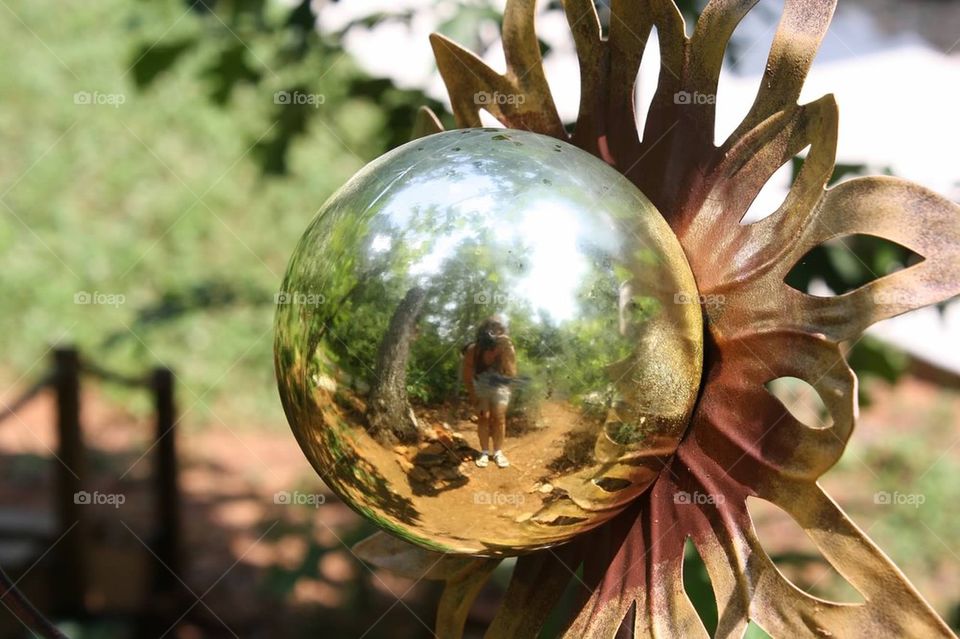 Garden Reflections