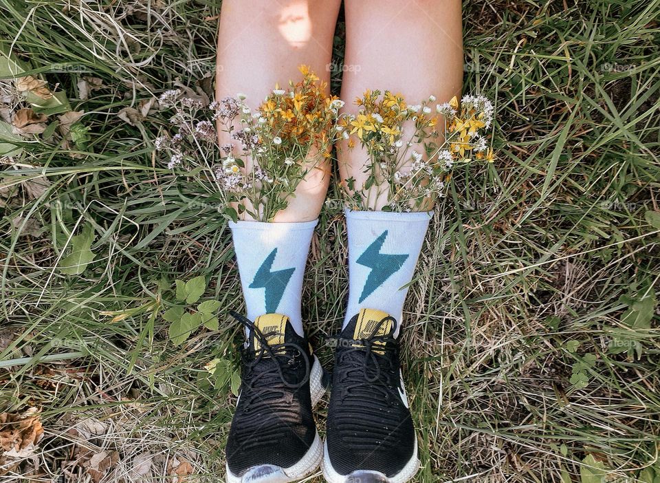 Other autumn flowers