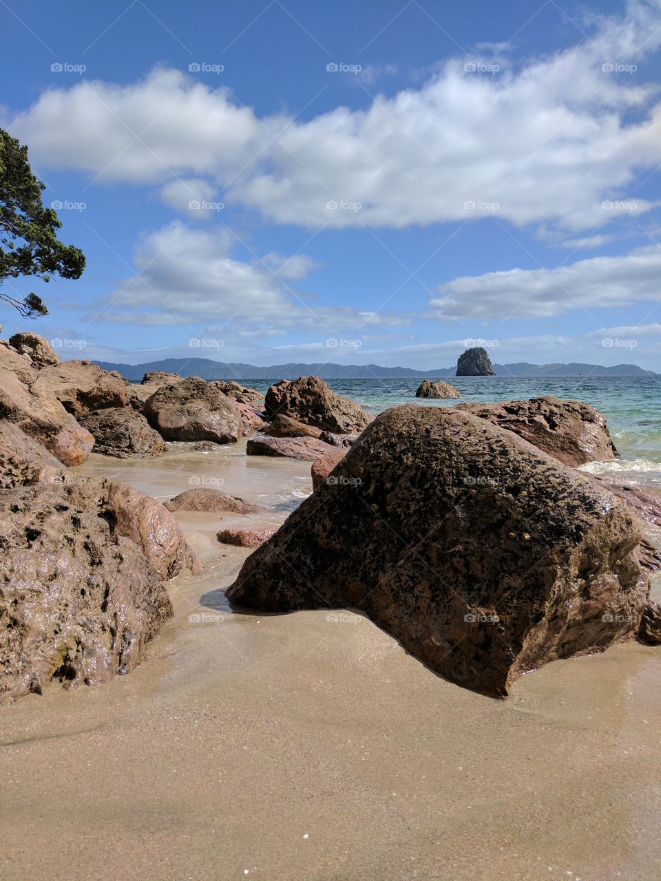 Cathedral Cove Coast