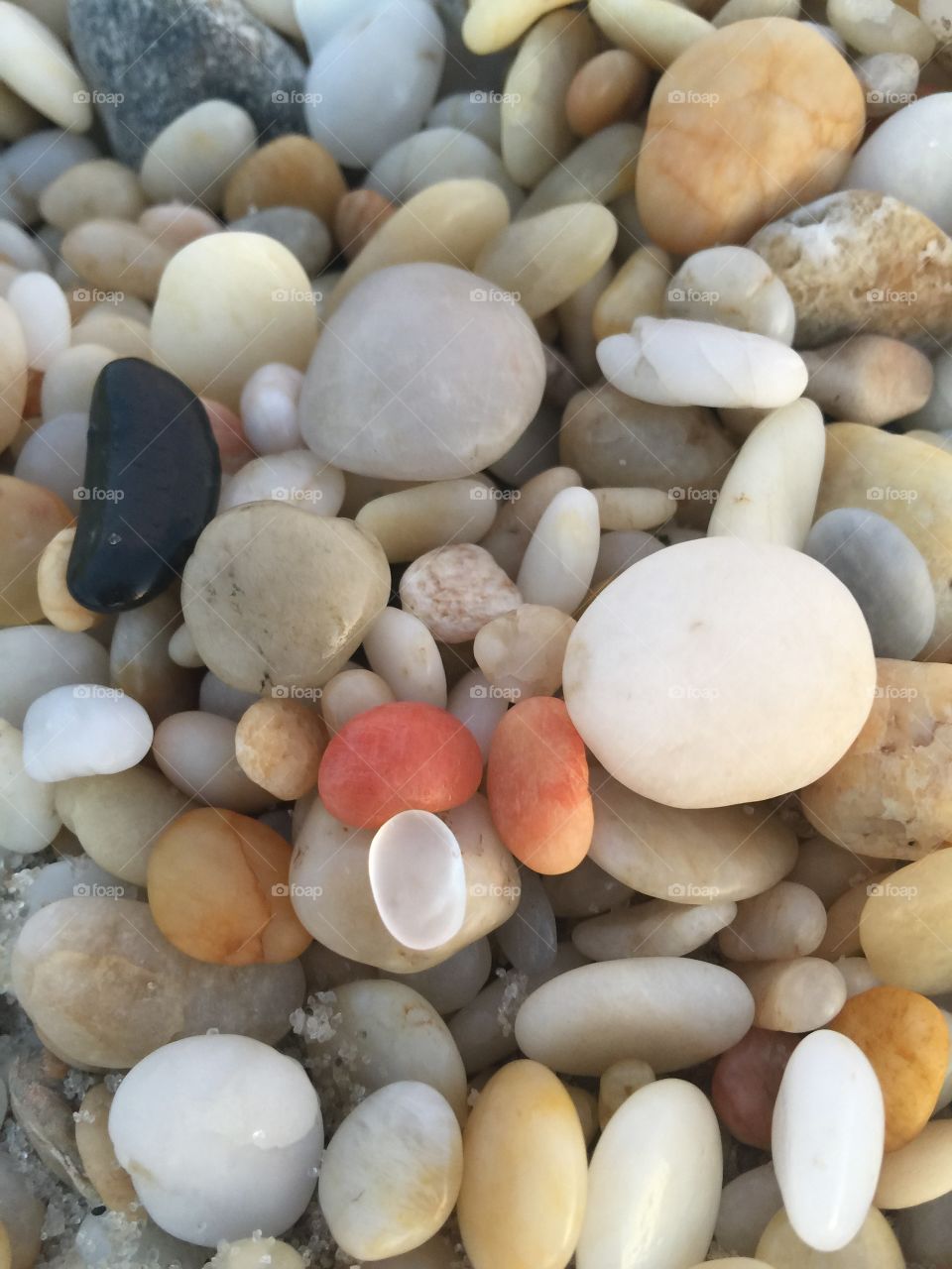 Pretty pebbles and cape May diamond found at the Jersey Shore 
