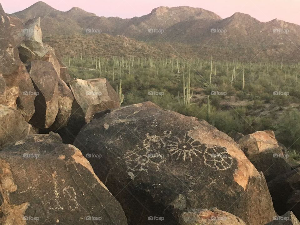 Saguaro National Park, Tucson AZ—Signal Hill petroglyphs