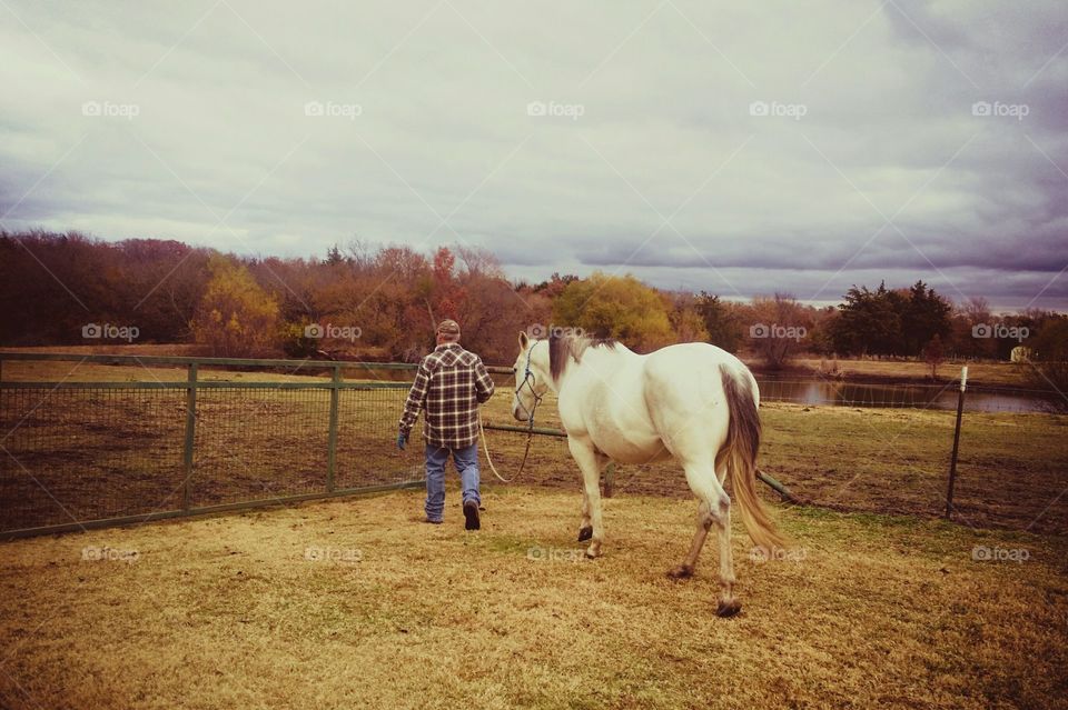 Man leading his horse out to the pasture his favorite hobby on a beautiful fall day on the farm