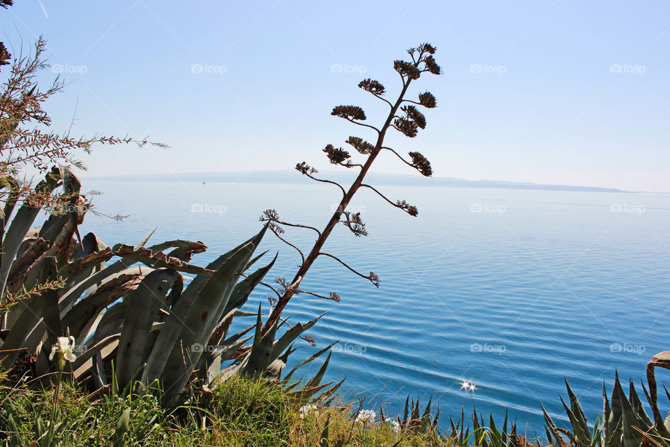 Adriatic coast