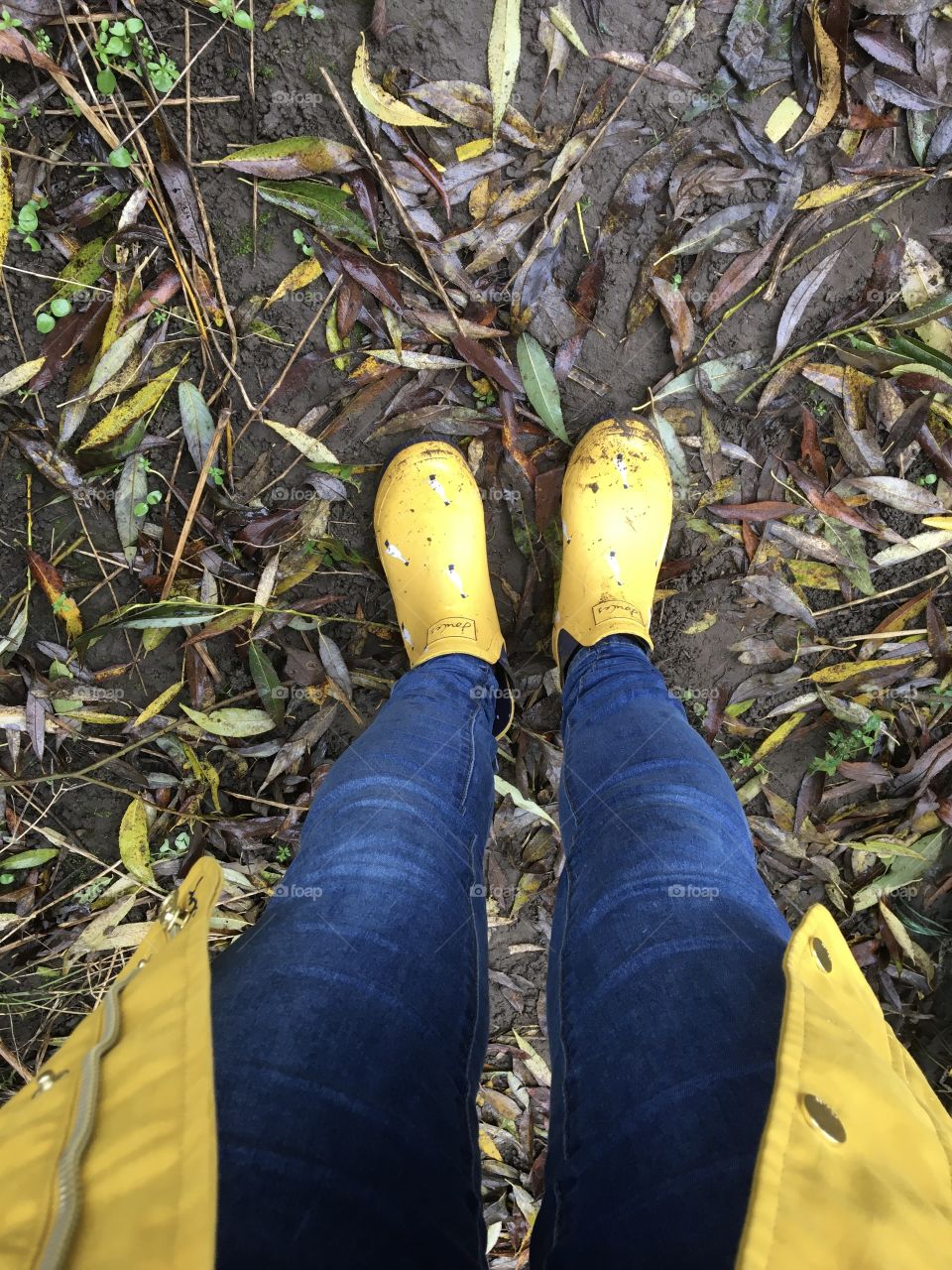 New wellies  … bright yellow with ducks on 💛