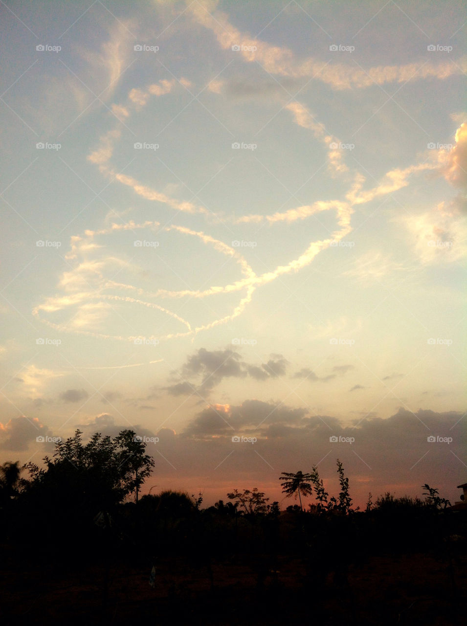 israel sky tree sunset by nectarb