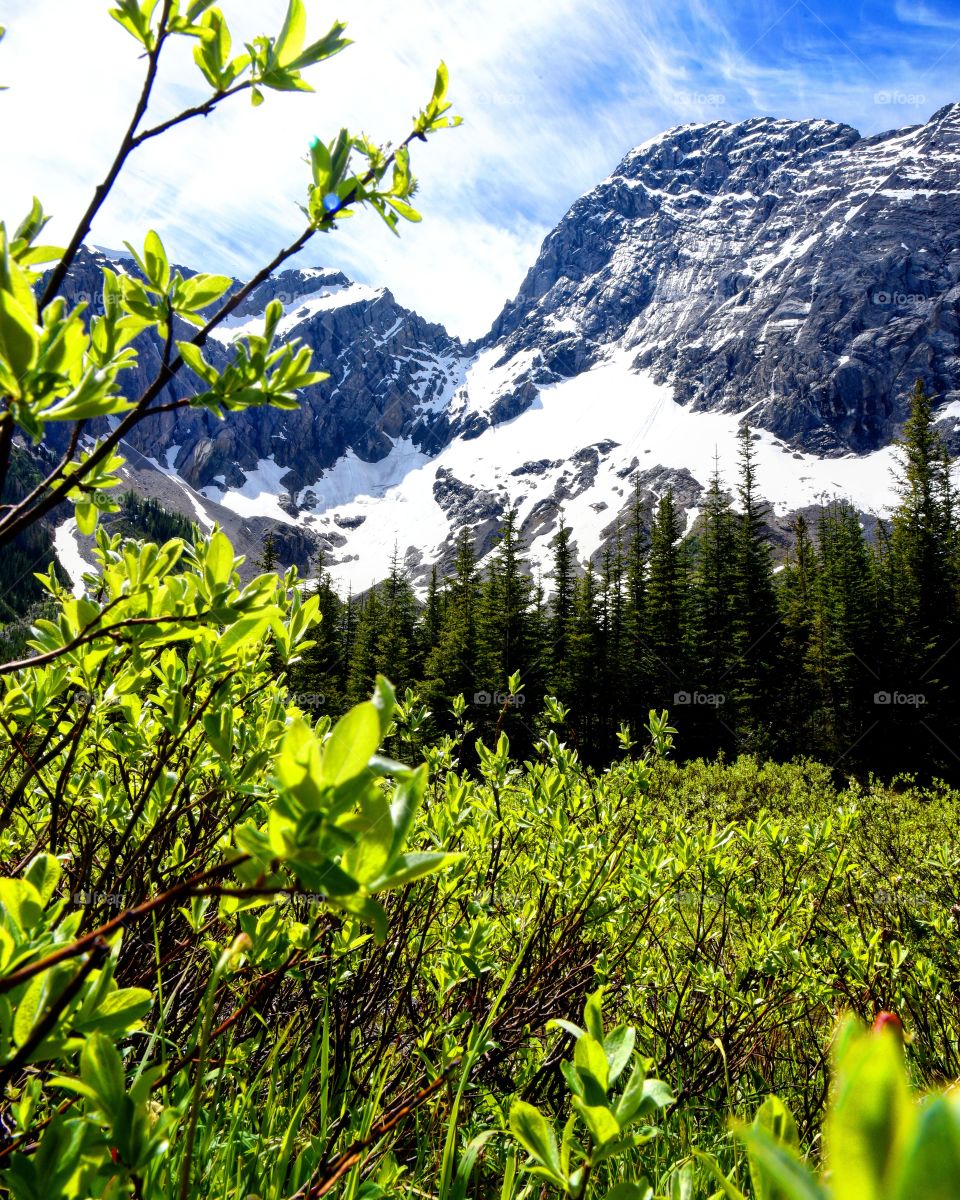 Canadian Rockies has views likes this