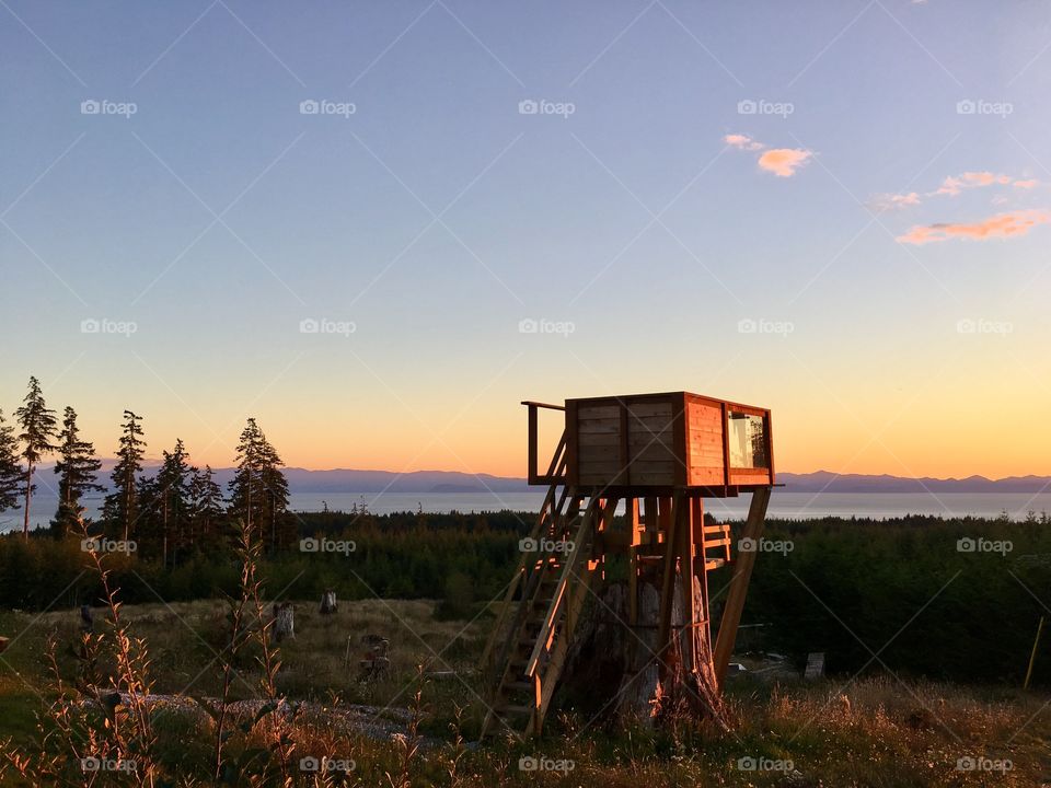 Mountainside tree fort in British Columbia 