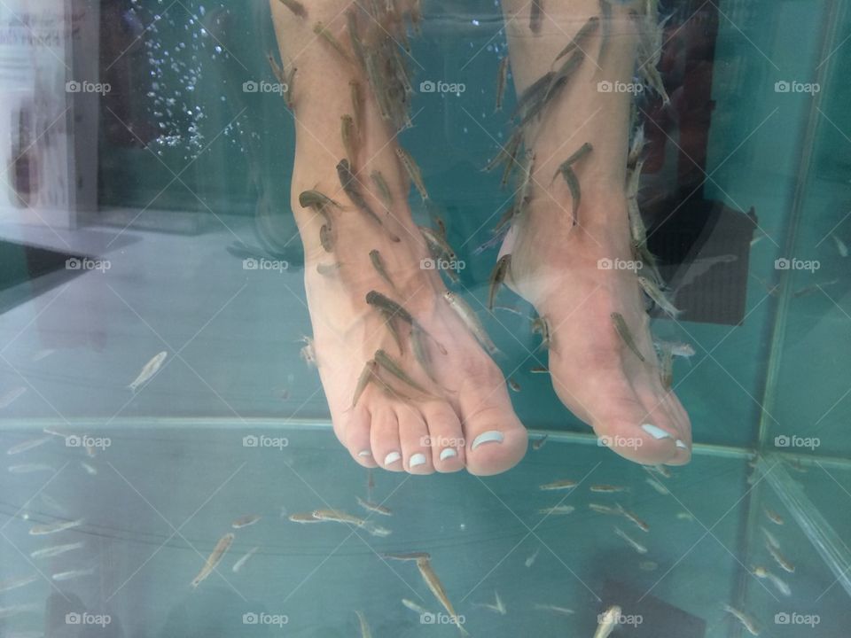 Fish Pedicure