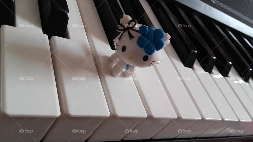 piano and cat