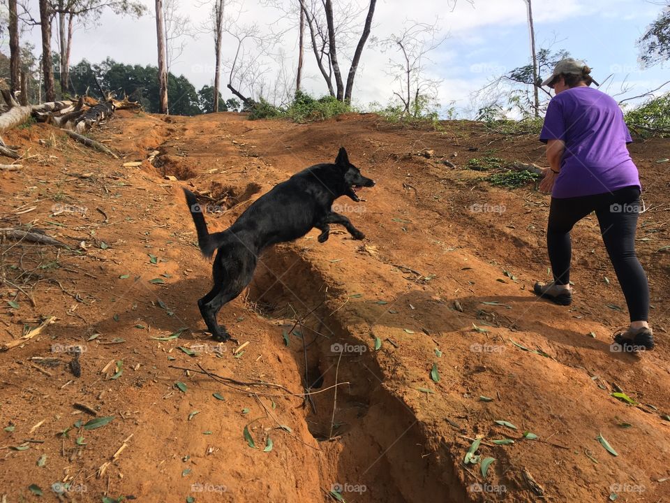 jumping and walking with my pet