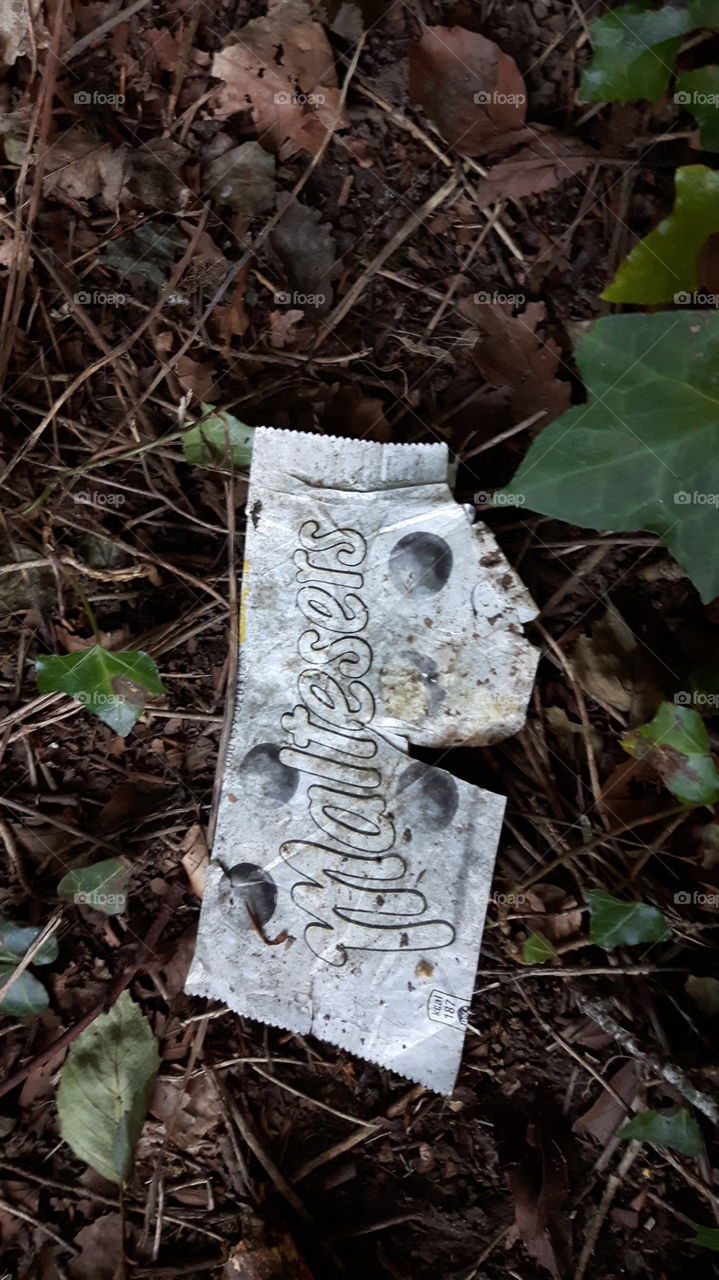 I found the remains of a malteser in there?