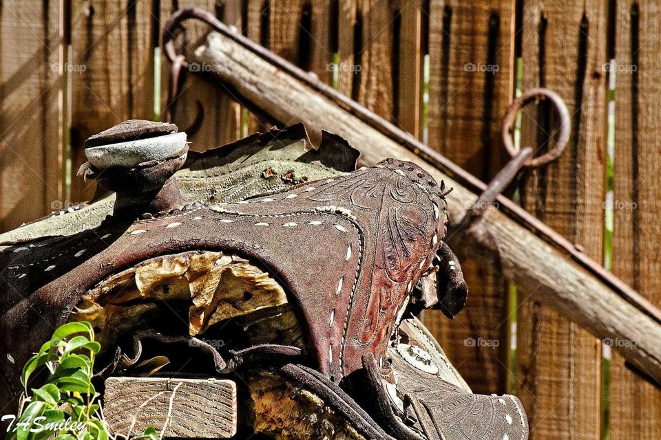 Old Saddle