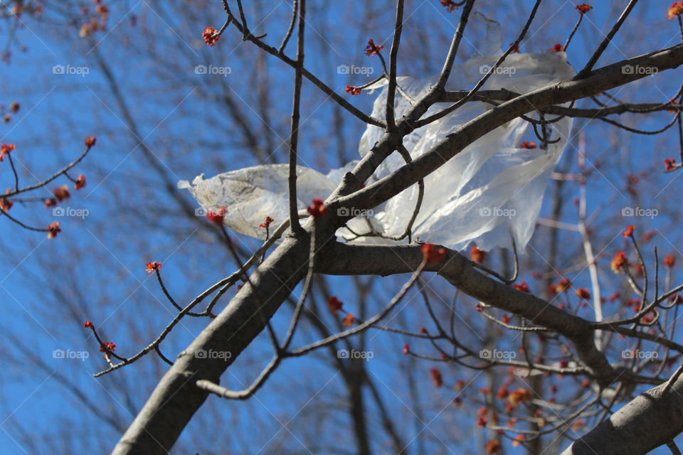 Pollution is seen through a bag blowing through the wind, unable to be freed from a tree. 