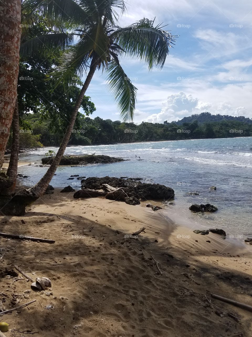 'SEASCAPE'
PUNTA UVA, COSTA RICA