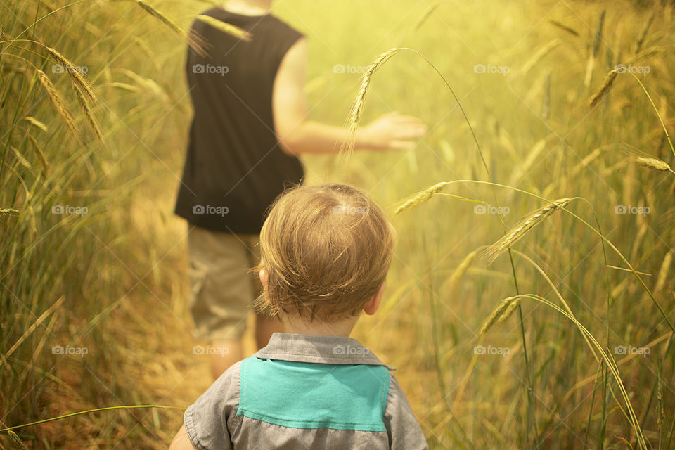 Summertime wheat field exploration 