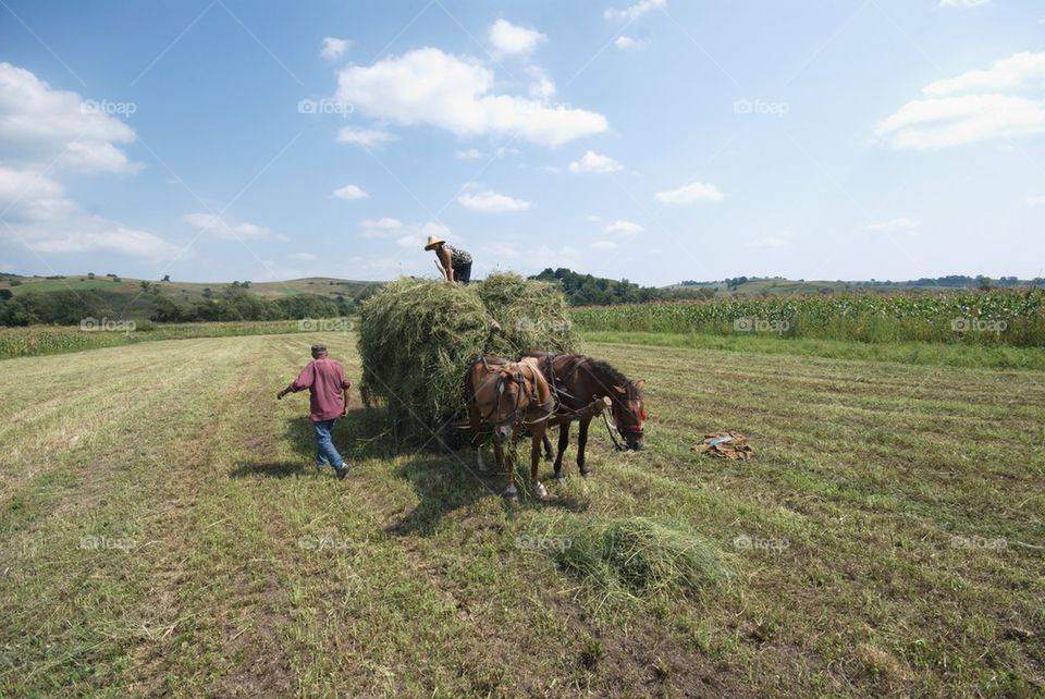 Couple of farmers at work in Transylvania