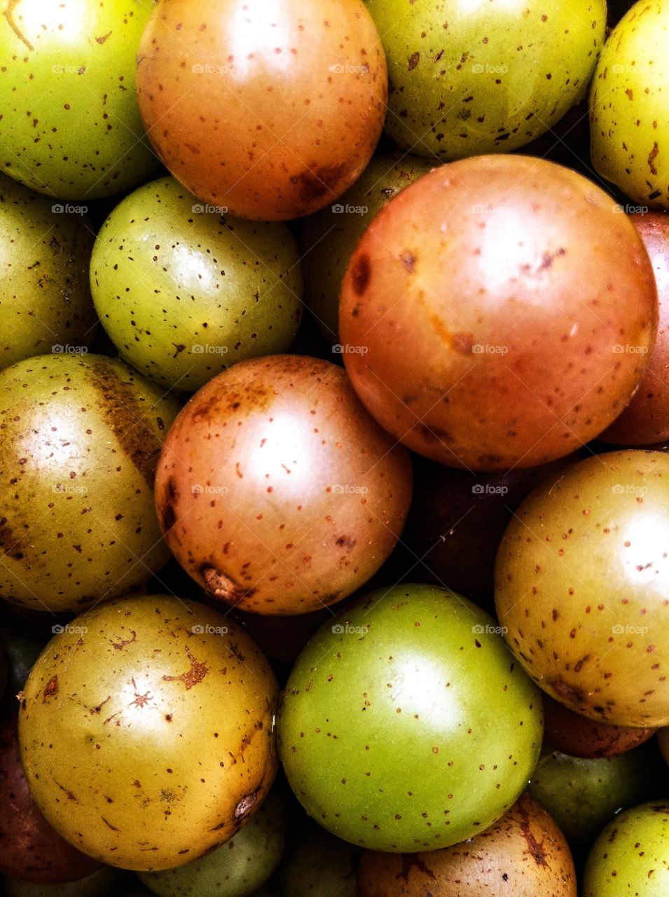 North Carolina muscadine grapes. Carlos