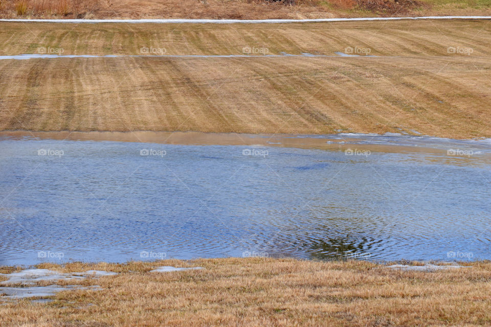 spring field