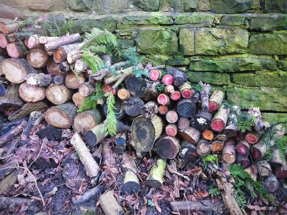 Seasonal logs next to a stone wall