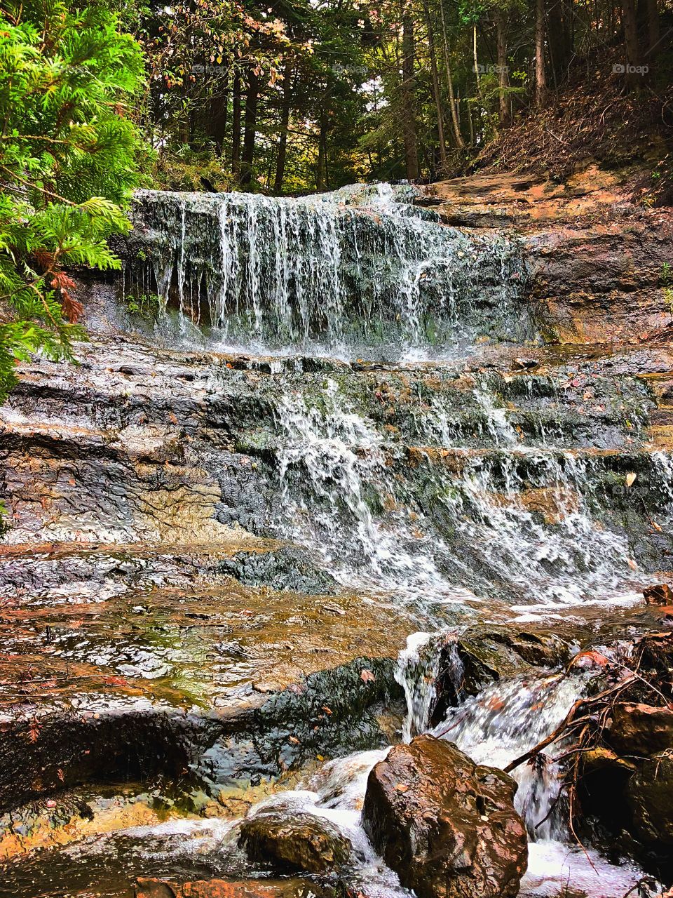 Hidden deep woods waterfall. 