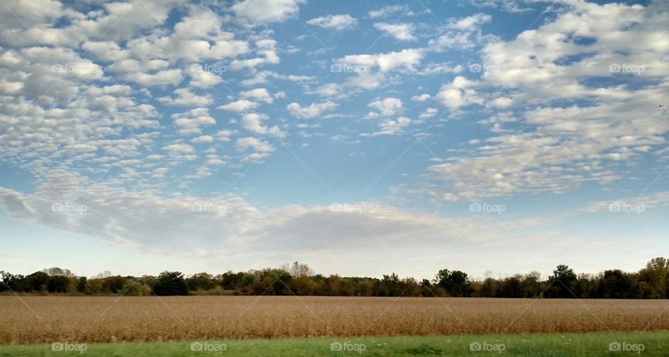 Open Land and Sky