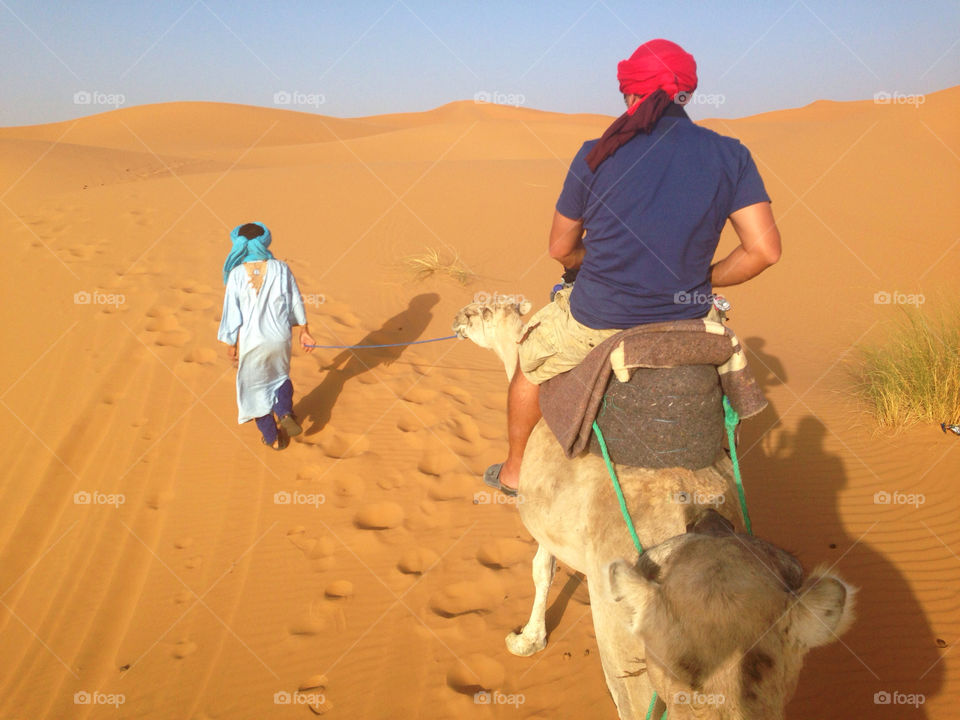 Dromedary trekking 