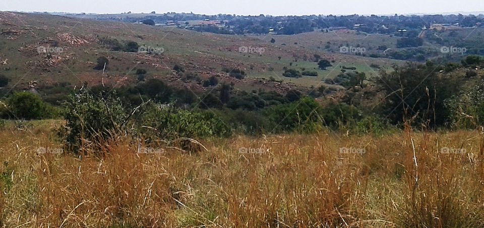 Krugersdorp Game Reserve