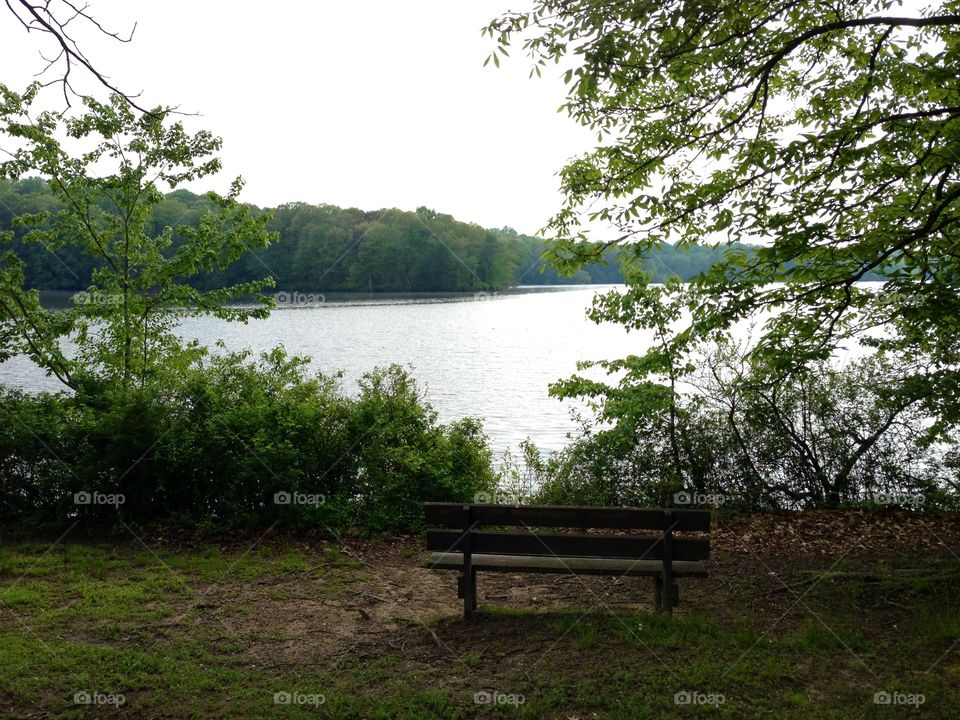 A seat by the lake. 