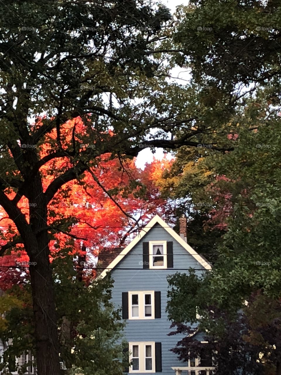 New England fall amazing 