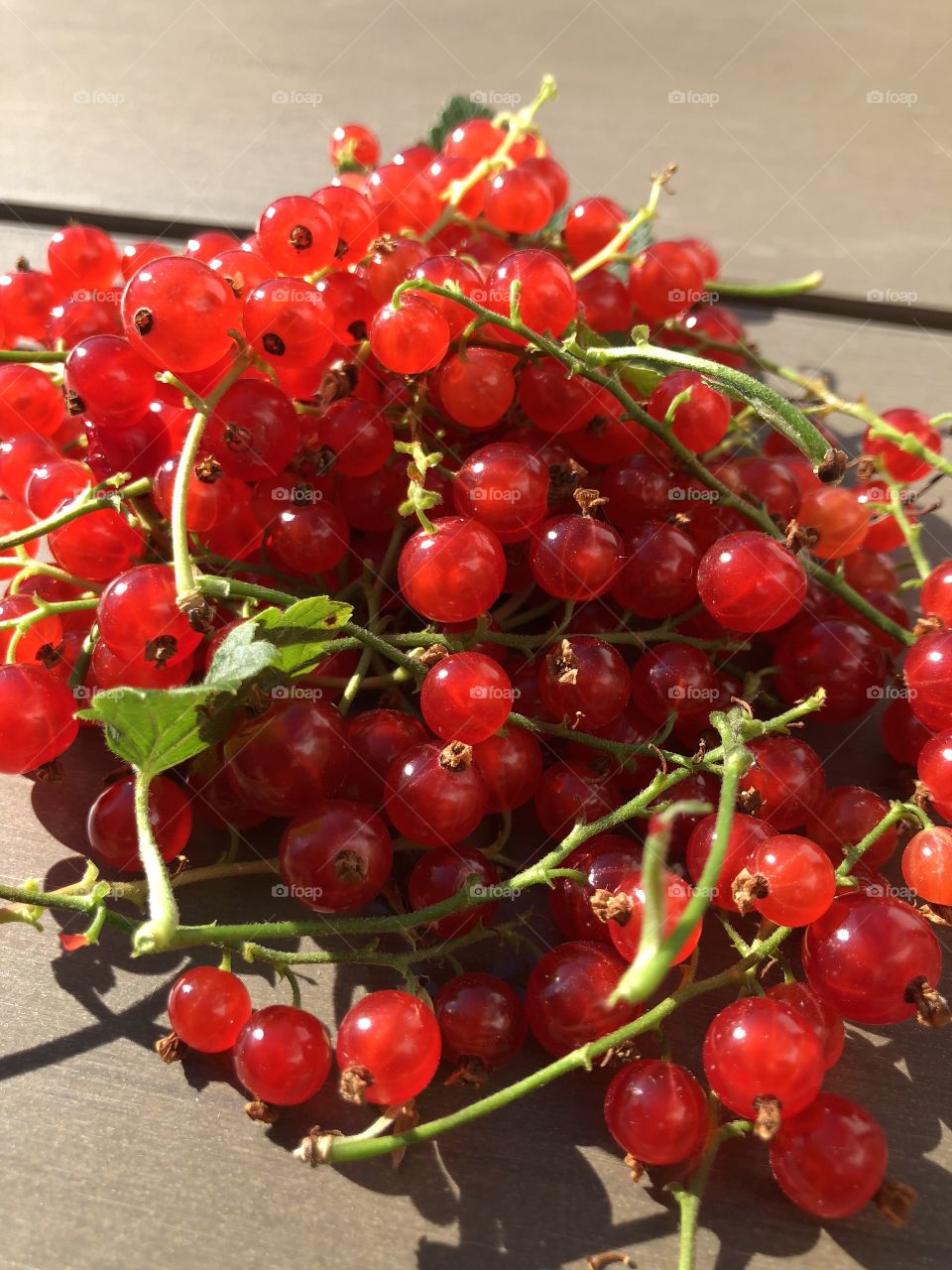 wild red currants