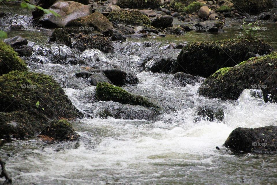 River Bovey