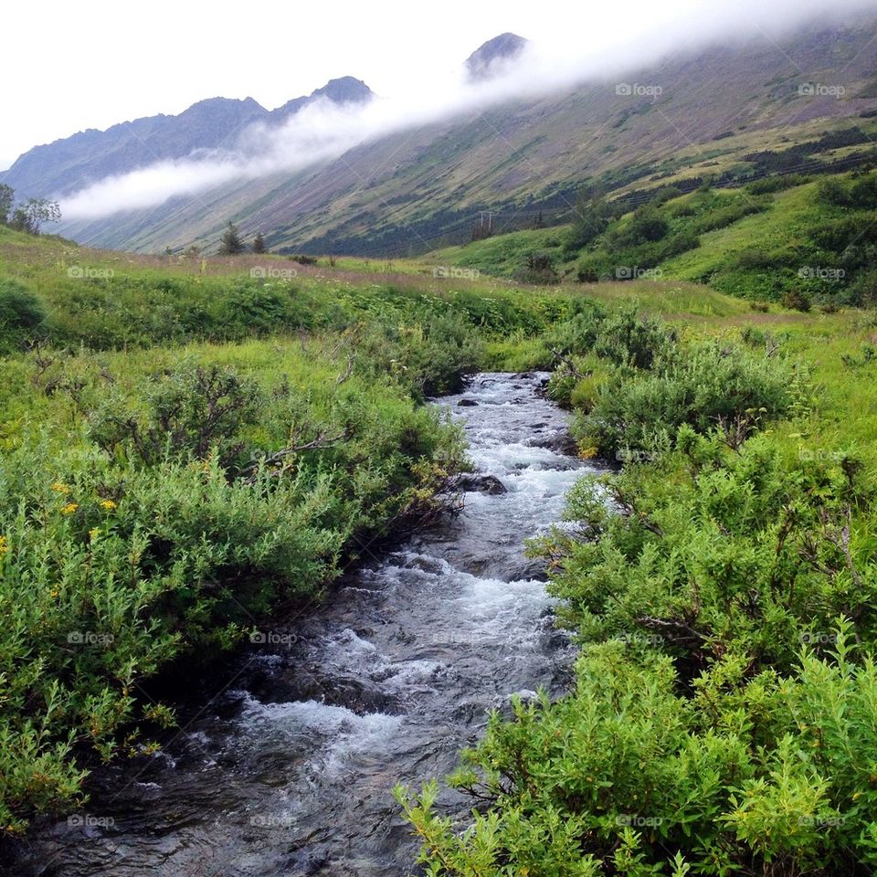 Alaska Creek