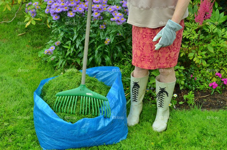 Low section of a person cleaning garden