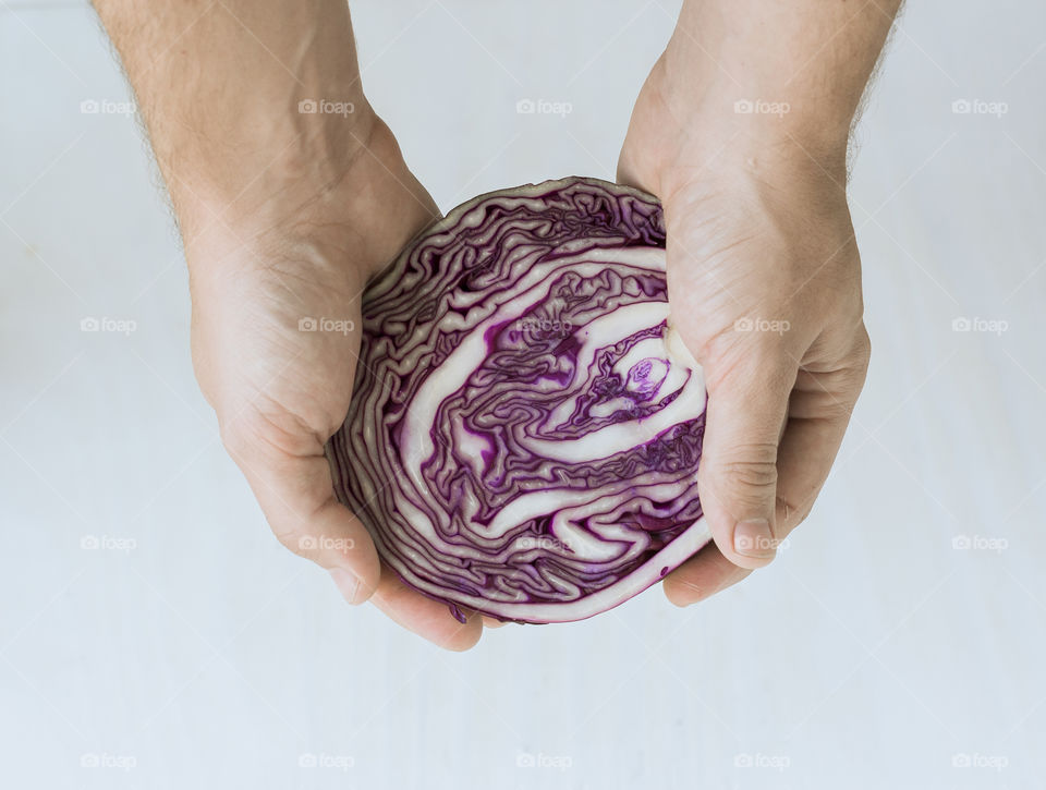 Studio shot of half purple cabbage on hand